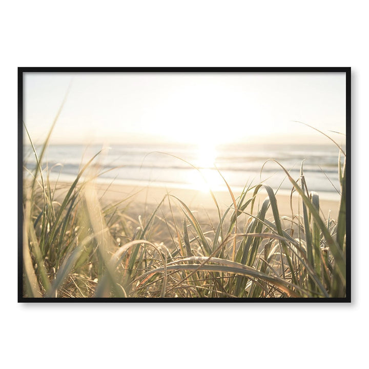 Beach Grass Sunset Wall Art Print A0 (84.1 x 118.9cm) / Matte Black Frame / No Border from our Australian Made Framed Wall Art, Prints & Posters collection by Profile Products (Australia) Pty Ltd
