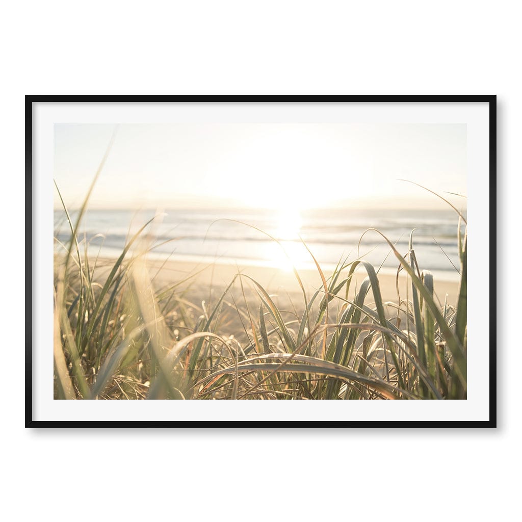 Beach Grass Sunset Wall Art Print A0 (84.1 x 118.9cm) / Matte Black Frame / White Border from our Australian Made Framed Wall Art, Prints & Posters collection by Profile Products (Australia) Pty Ltd