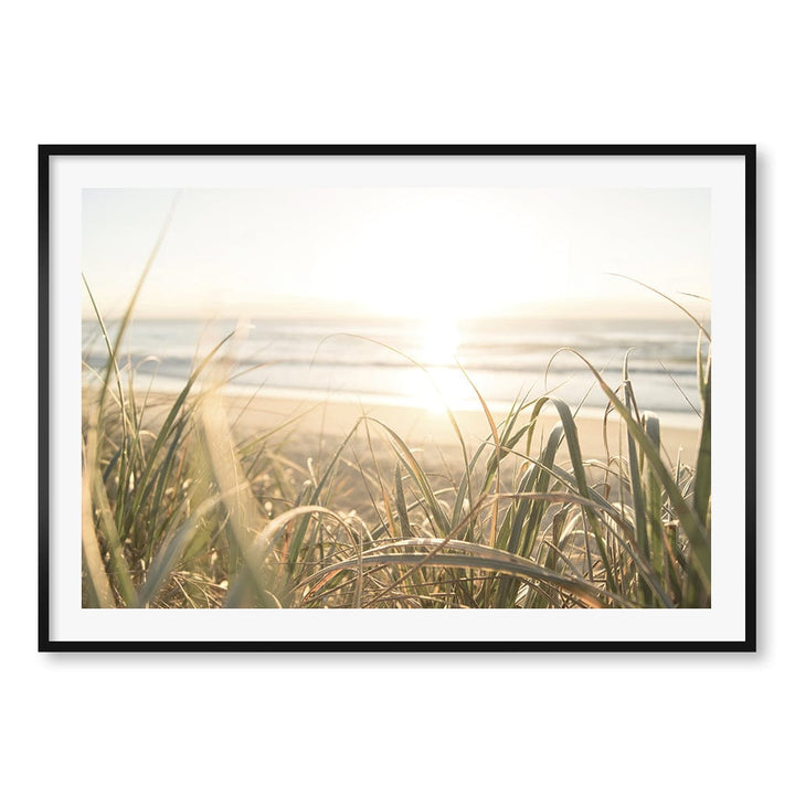 Beach Grass Sunset Wall Art Print A0 (84.1 x 118.9cm) / Matte Black Frame / White Border from our Australian Made Framed Wall Art, Prints & Posters collection by Profile Products (Australia) Pty Ltd