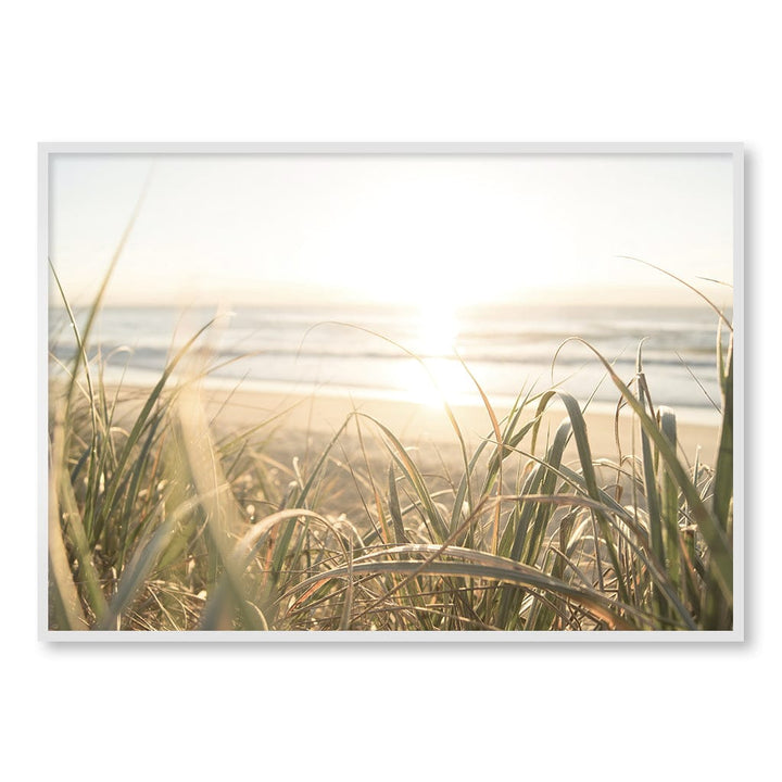 Beach Grass Sunset Wall Art Print A0 (84.1 x 118.9cm) / Matte White Frame / No Border from our Australian Made Framed Wall Art, Prints & Posters collection by Profile Products (Australia) Pty Ltd