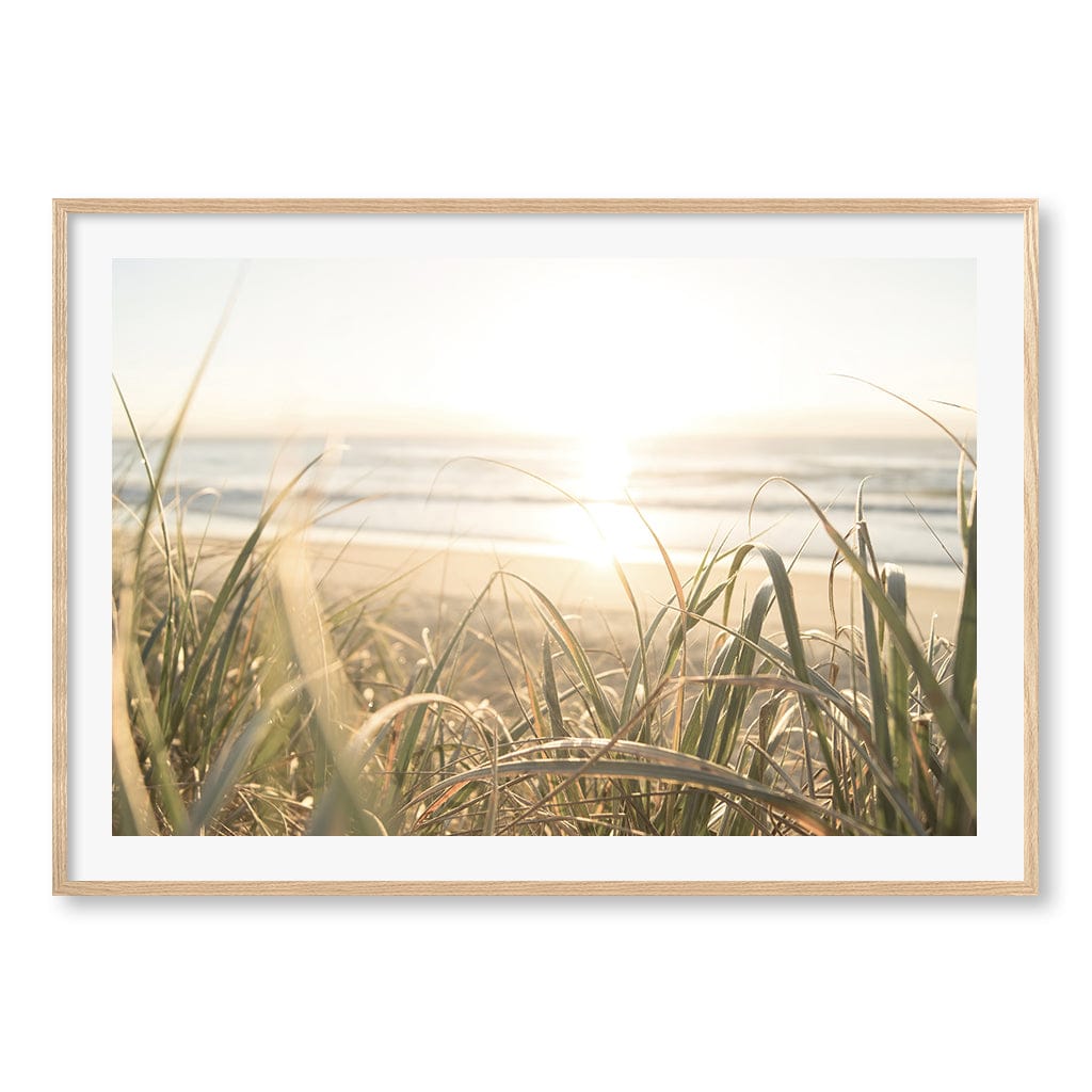 Beach Grass Sunset Wall Art Print A0 (84.1 x 118.9cm) / Natural Oak Frame / White Border from our Australian Made Framed Wall Art, Prints & Posters collection by Profile Products (Australia) Pty Ltd