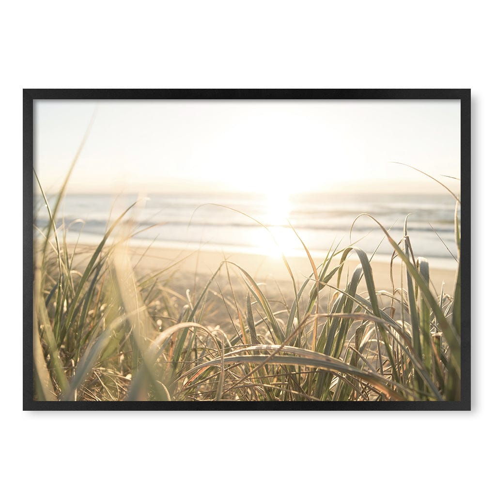 Beach Grass Sunset Wall Art Print A1 (59.4 x 84.1cm) / Matte Black Frame / No Border from our Australian Made Framed Wall Art, Prints & Posters collection by Profile Products (Australia) Pty Ltd