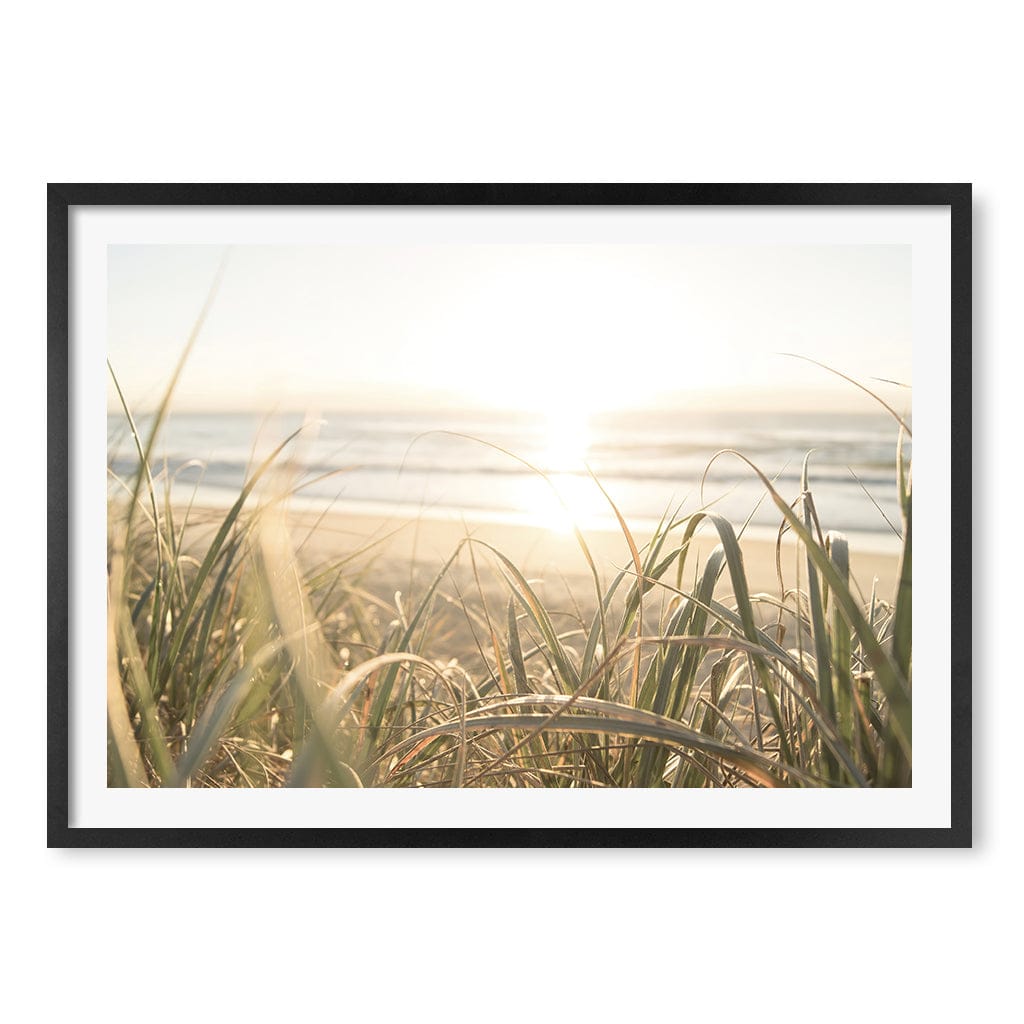 Beach Grass Sunset Wall Art Print A1 (59.4 x 84.1cm) / Matte Black Frame / White Border from our Australian Made Framed Wall Art, Prints & Posters collection by Profile Products (Australia) Pty Ltd