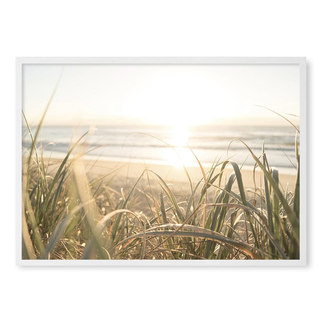 Beach Grass Sunset Wall Art Print A1 (59.4 x 84.1cm) / Matte White Frame / No Border from our Australian Made Framed Wall Art, Prints & Posters collection by Profile Products (Australia) Pty Ltd