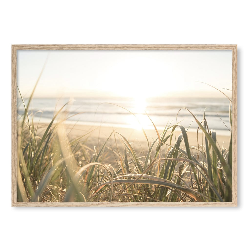 Beach Grass Sunset Wall Art Print A1 (59.4 x 84.1cm) / Natural Oak Frame / No Border from our Australian Made Framed Wall Art, Prints & Posters collection by Profile Products (Australia) Pty Ltd
