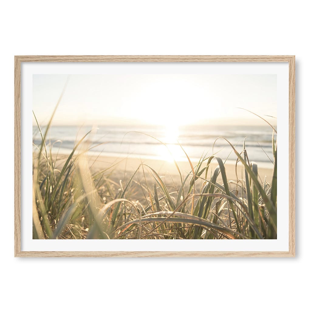Beach Grass Sunset Wall Art Print A1 (59.4 x 84.1cm) / Natural Oak Frame / White Border from our Australian Made Framed Wall Art, Prints & Posters collection by Profile Products (Australia) Pty Ltd