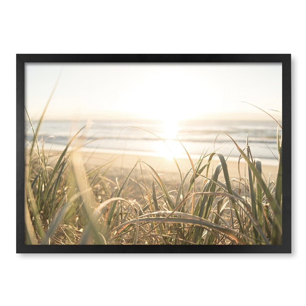 Beach Grass Sunset Wall Art Print A2 (42 x 59.4cm) / Matte Black Frame / No Border from our Australian Made Framed Wall Art, Prints & Posters collection by Profile Products (Australia) Pty Ltd