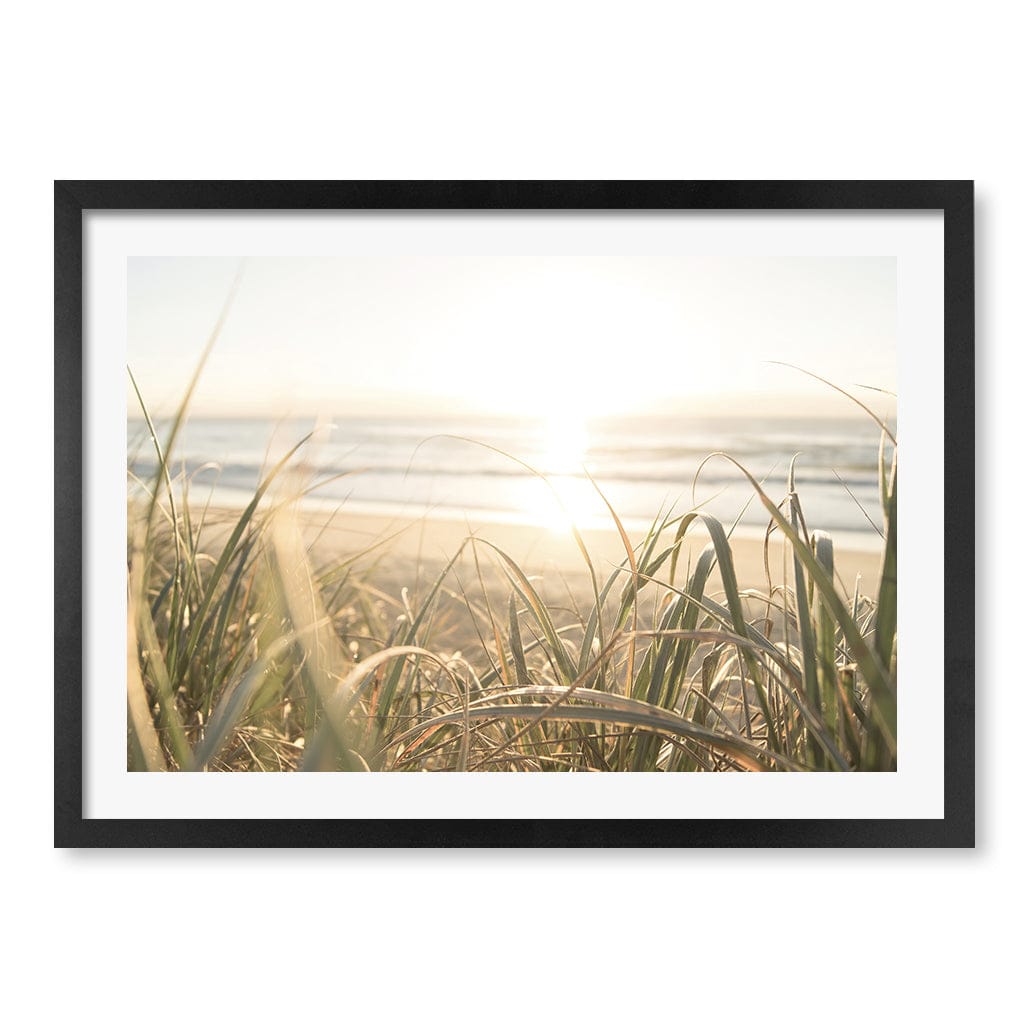 Beach Grass Sunset Wall Art Print A2 (42 x 59.4cm) / Matte Black Frame / White Border from our Australian Made Framed Wall Art, Prints & Posters collection by Profile Products (Australia) Pty Ltd