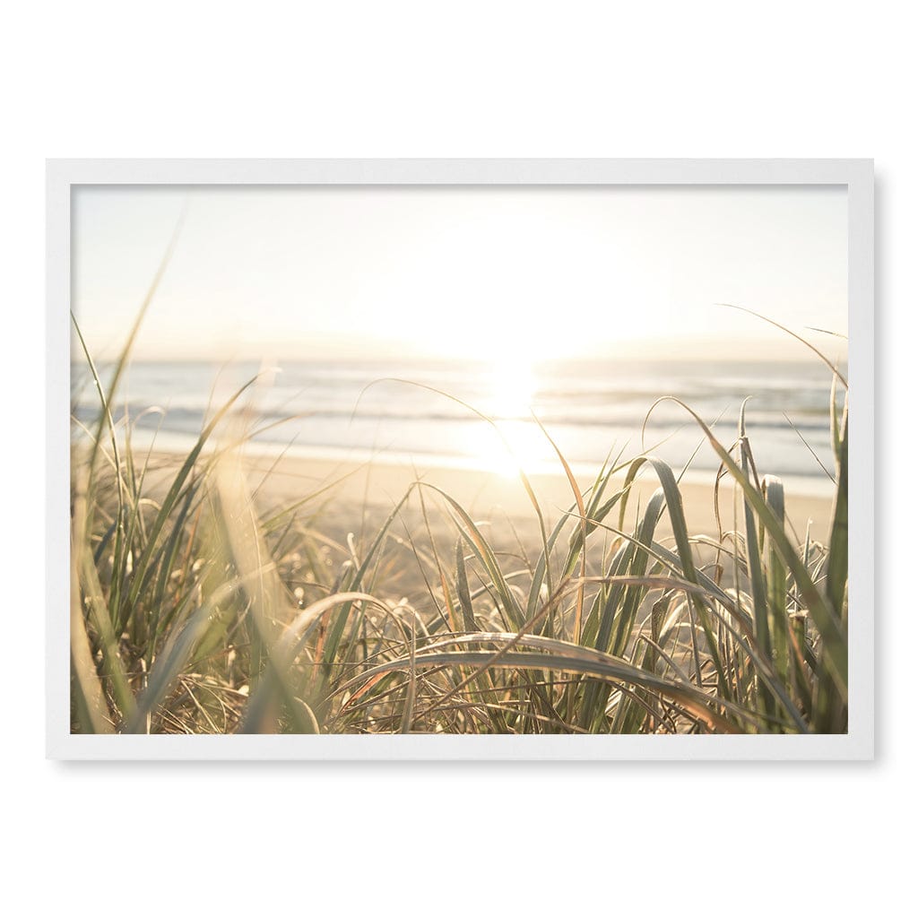 Beach Grass Sunset Wall Art Print A2 (42 x 59.4cm) / Matte White Frame / No Border from our Australian Made Framed Wall Art, Prints & Posters collection by Profile Products (Australia) Pty Ltd