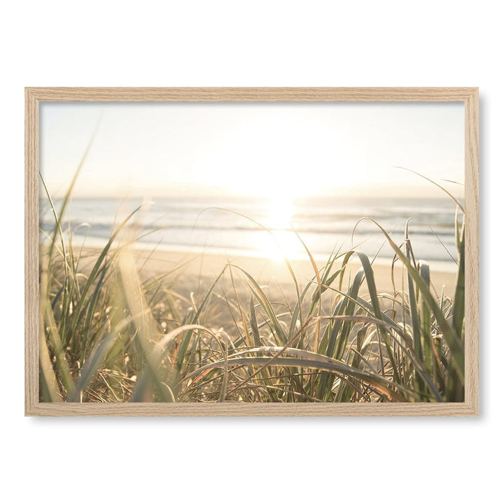 Beach Grass Sunset Wall Art Print A2 (42 x 59.4cm) / Natural Oak Frame / No Border from our Australian Made Framed Wall Art, Prints & Posters collection by Profile Products (Australia) Pty Ltd