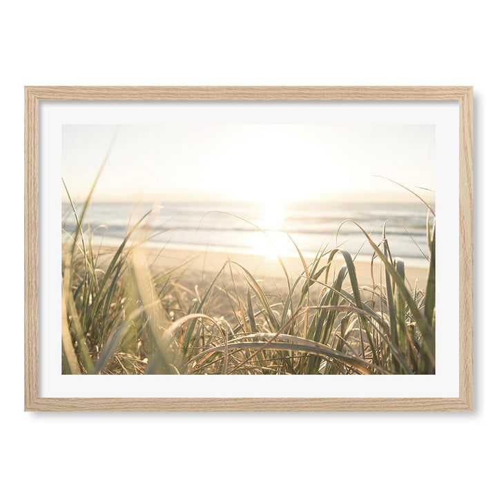 Beach Grass Sunset Wall Art Print A2 (42 x 59.4cm) / Natural Oak Frame / White Border from our Australian Made Framed Wall Art, Prints & Posters collection by Profile Products (Australia) Pty Ltd