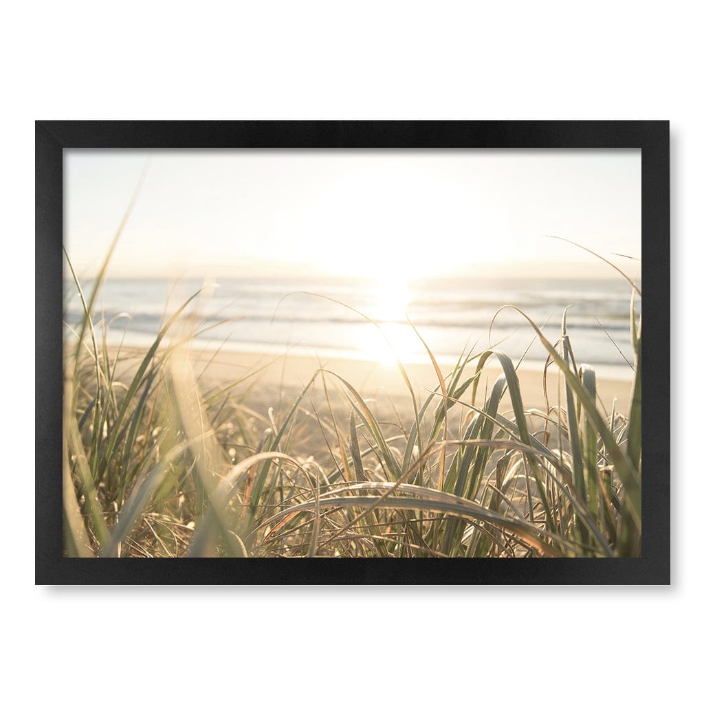 Beach Grass Sunset Wall Art Print A3 (29.7 x 42cm) / Matte Black Frame / No Border from our Australian Made Framed Wall Art, Prints & Posters collection by Profile Products (Australia) Pty Ltd