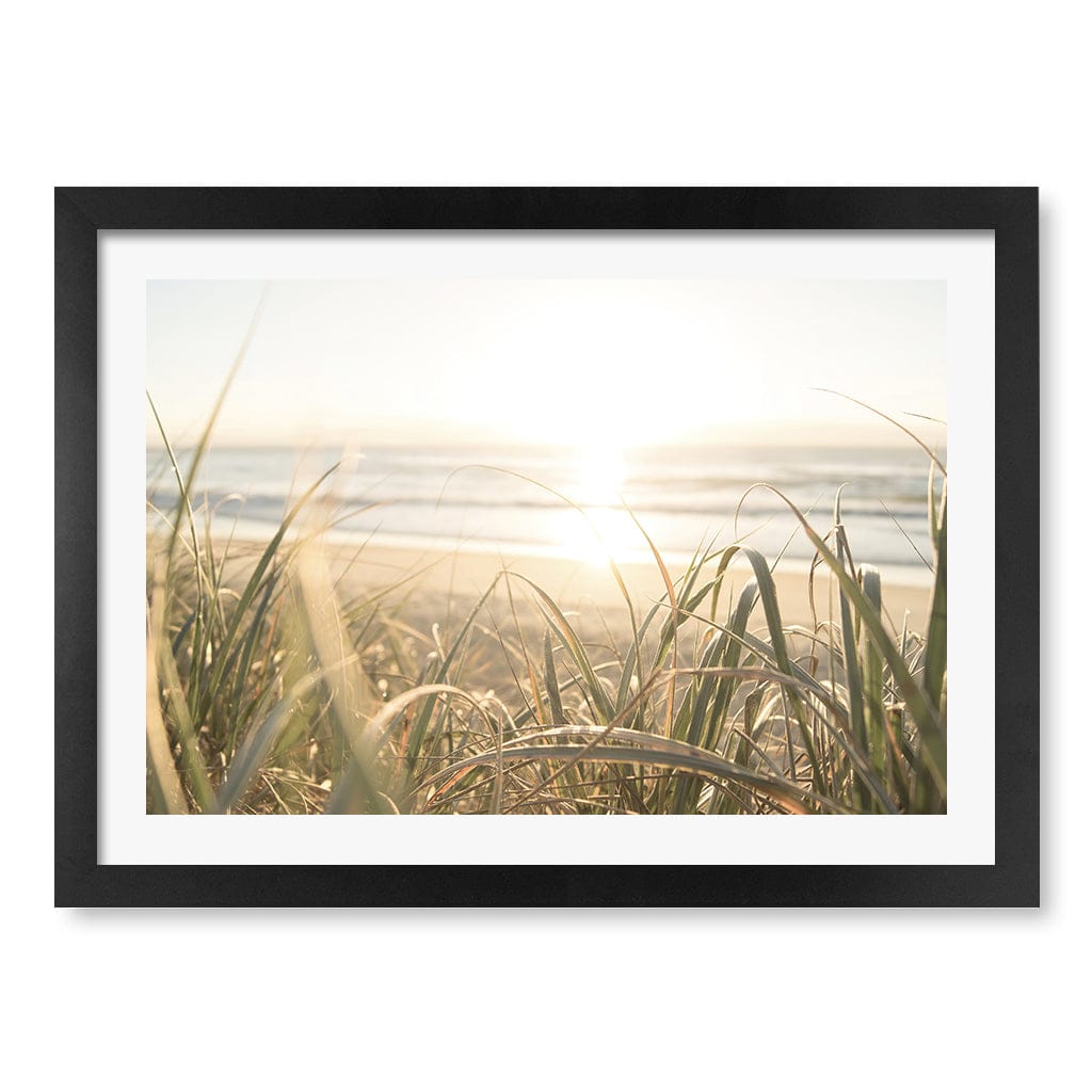 Beach Grass Sunset Wall Art Print A3 (29.7 x 42cm) / Matte Black Frame / White Border from our Australian Made Framed Wall Art, Prints & Posters collection by Profile Products (Australia) Pty Ltd