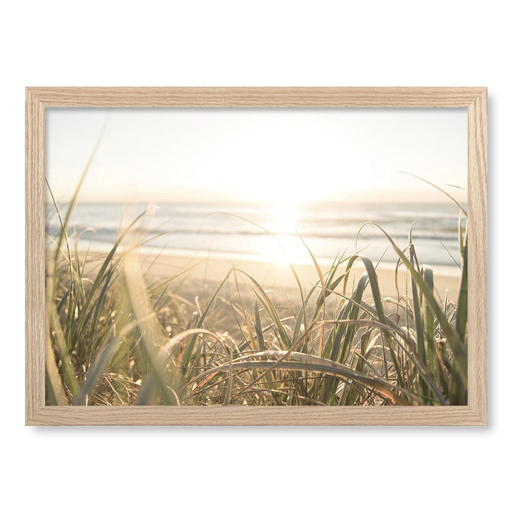 Beach Grass Sunset Wall Art Print A3 (29.7 x 42cm) / Natural Oak Frame / No Border from our Australian Made Framed Wall Art, Prints & Posters collection by Profile Products (Australia) Pty Ltd