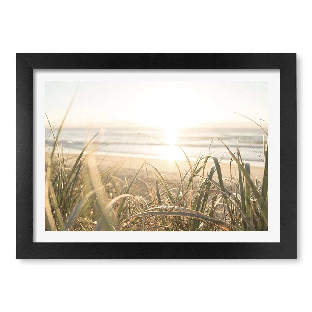 Beach Grass Sunset Wall Art Print A4 (21 x 29.7cm) / Matte Black Frame / White Border from our Australian Made Framed Wall Art, Prints & Posters collection by Profile Products (Australia) Pty Ltd