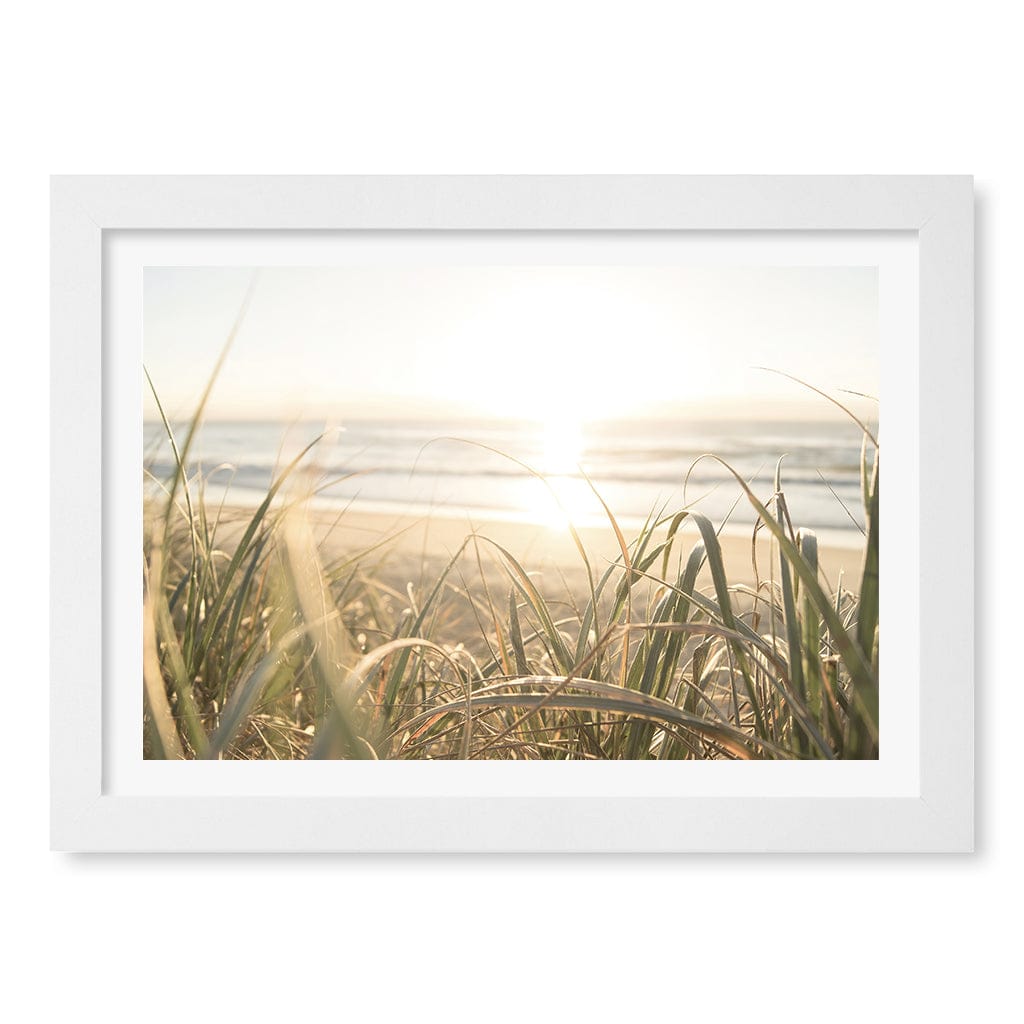 Beach Grass Sunset Wall Art Print A4 (21 x 29.7cm) / Matte White Frame / White Border from our Australian Made Framed Wall Art, Prints & Posters collection by Profile Products (Australia) Pty Ltd