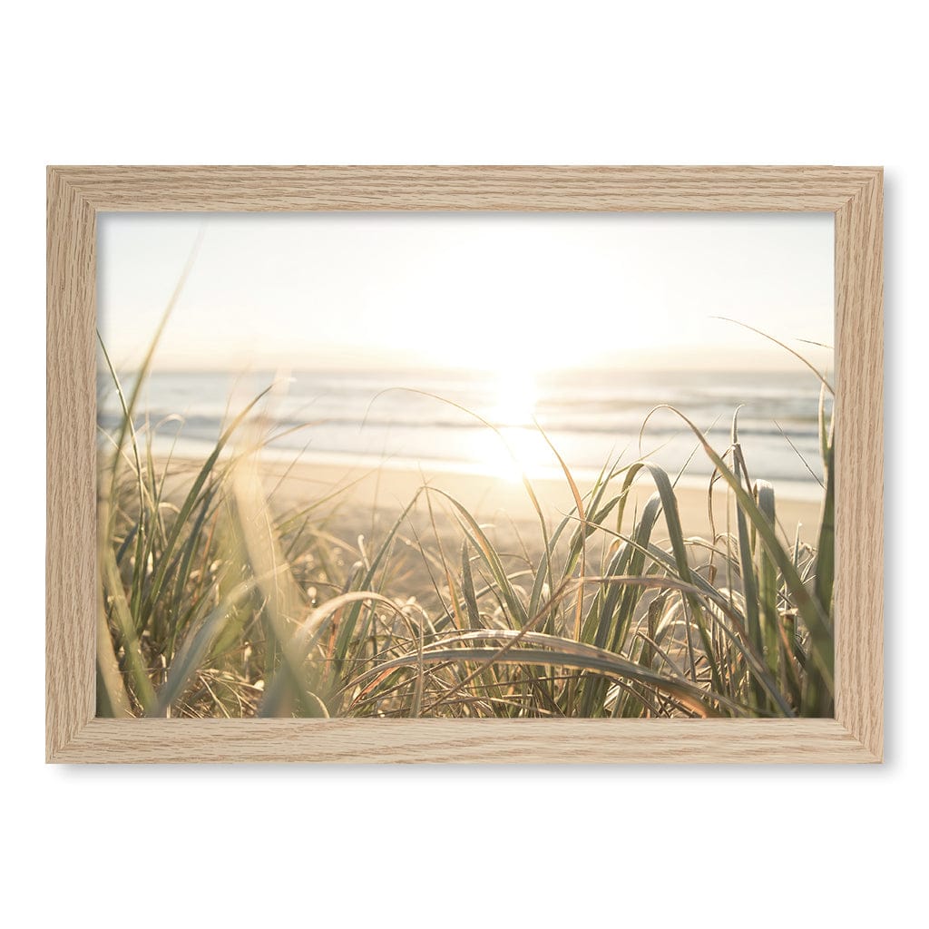 Beach Grass Sunset Wall Art Print A4 (21 x 29.7cm) / Natural Oak Frame / No Border from our Australian Made Framed Wall Art, Prints & Posters collection by Profile Products (Australia) Pty Ltd