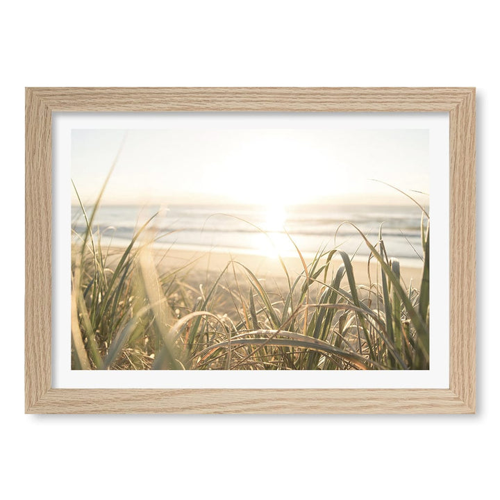 Beach Grass Sunset Wall Art Print A4 (21 x 29.7cm) / Natural Oak Frame / White Border from our Australian Made Framed Wall Art, Prints & Posters collection by Profile Products (Australia) Pty Ltd