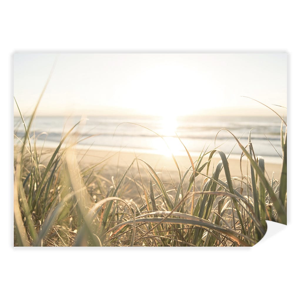 Beach Grass Sunset Wall Art Print A4 (21 x 29.7cm) / Print Only / No Border from our Australian Made Framed Wall Art, Prints & Posters collection by Profile Products (Australia) Pty Ltd
