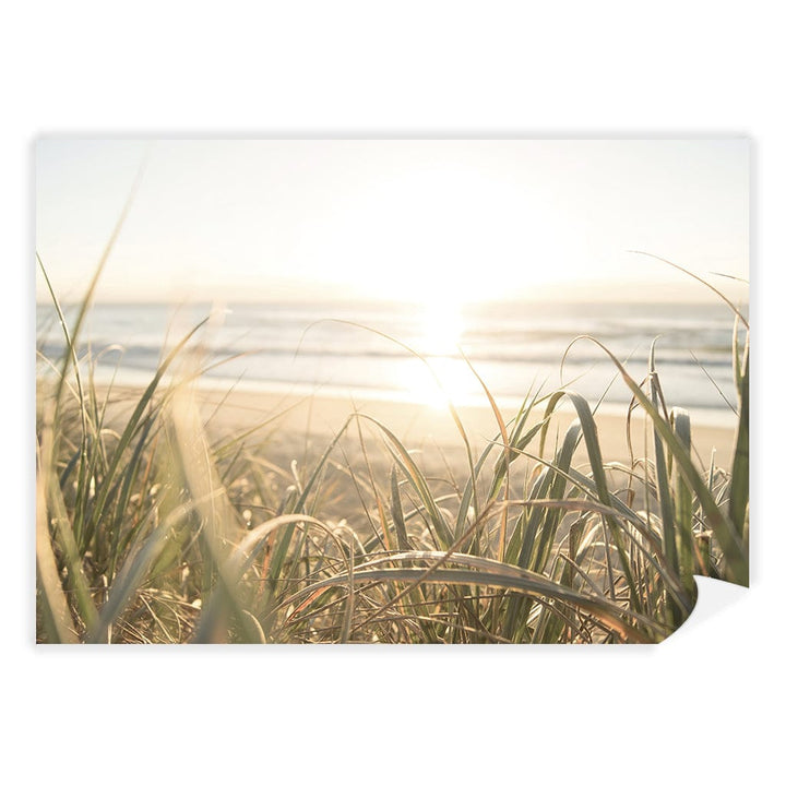 Beach Grass Sunset Wall Art Print A4 (21 x 29.7cm) / Print Only / No Border from our Australian Made Framed Wall Art, Prints & Posters collection by Profile Products (Australia) Pty Ltd