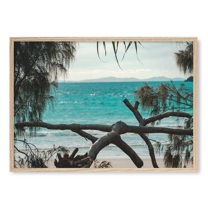 Byron Ocean View 1 Wall Art Print A1 (59.4 x 84.1cm) / Natural Oak Frame / No Border from our Australian Made Framed Wall Art, Prints & Posters collection by Profile Products (Australia) Pty Ltd