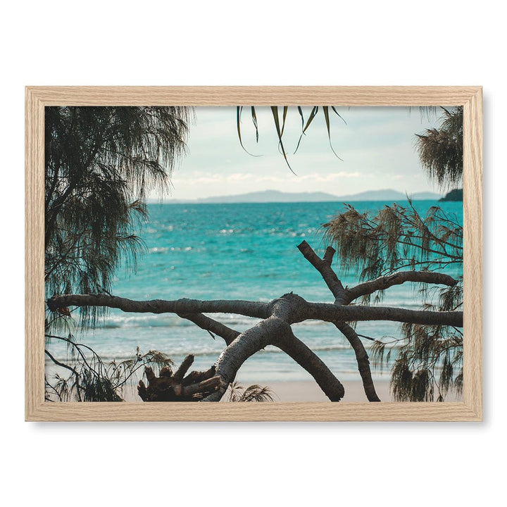 Byron Ocean View 1 Wall Art Print A3 (29.7 x 42cm) / Natural Oak Frame / No Border from our Australian Made Framed Wall Art, Prints & Posters collection by Profile Products (Australia) Pty Ltd
