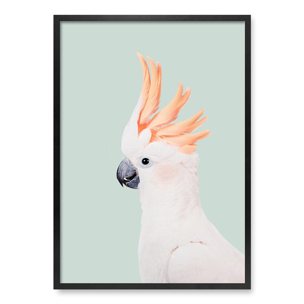 Cockatoo on Mint Wall Art Print A1 (59.4 x 84.1cm) / Matte Black Frame / No Border from our Australian Made Framed Wall Art, Prints & Posters collection by Profile Products (Australia) Pty Ltd