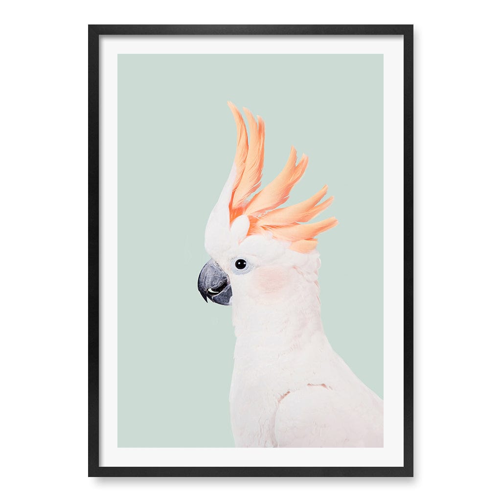 Cockatoo on Mint Wall Art Print A1 (59.4 x 84.1cm) / Matte Black Frame / White Border from our Australian Made Framed Wall Art, Prints & Posters collection by Profile Products (Australia) Pty Ltd