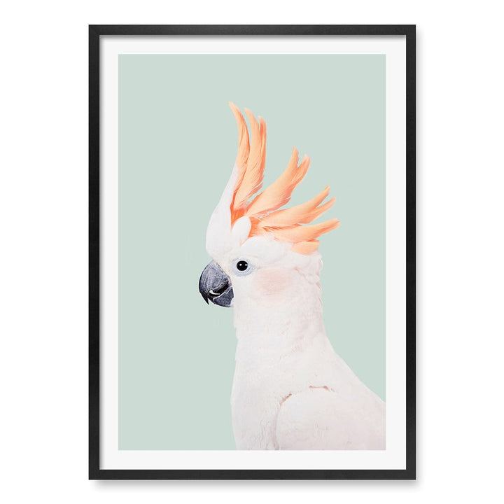 Cockatoo on Mint Wall Art Print A1 (59.4 x 84.1cm) / Matte Black Frame / White Border from our Australian Made Framed Wall Art, Prints & Posters collection by Profile Products (Australia) Pty Ltd
