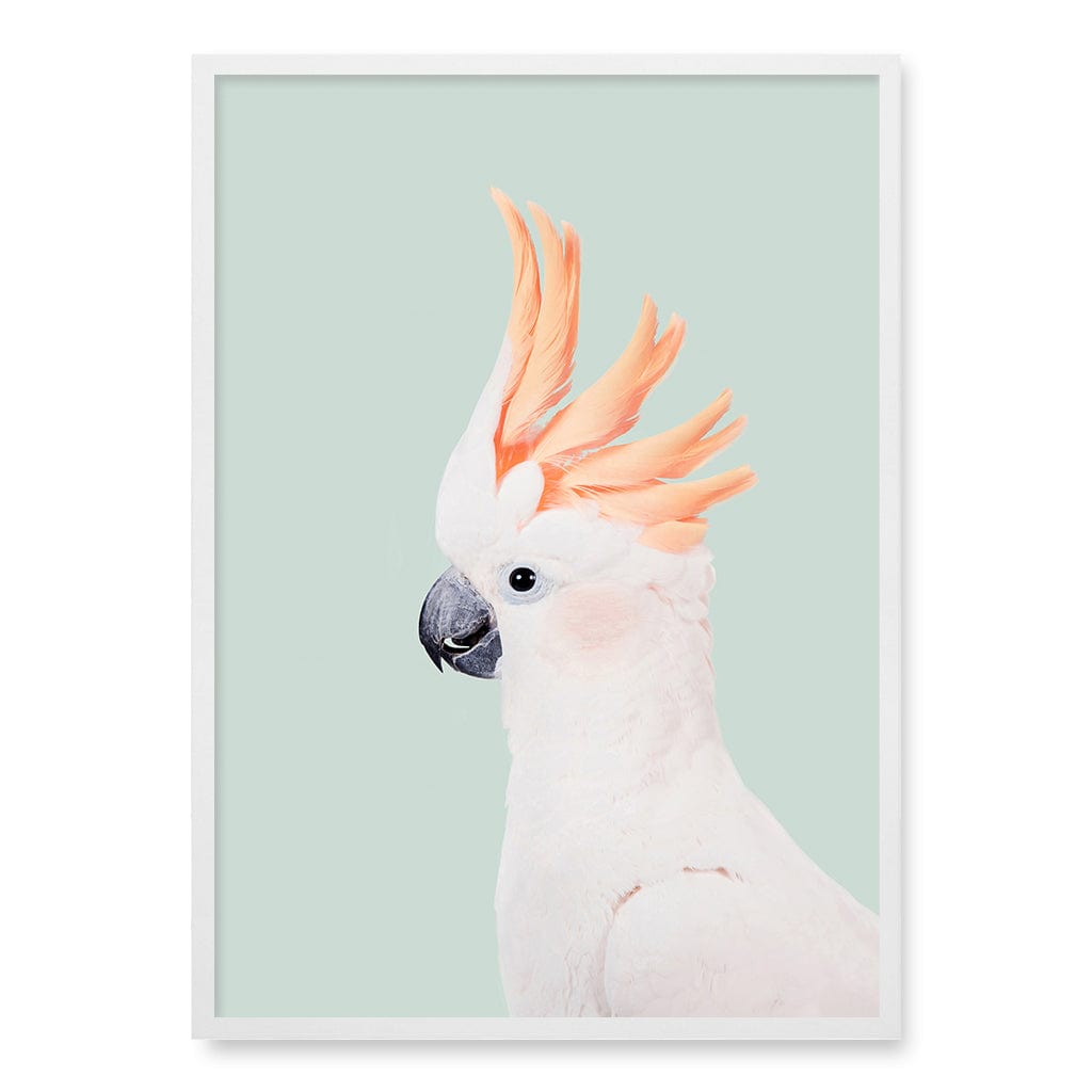 Cockatoo on Mint Wall Art Print A1 (59.4 x 84.1cm) / Matte White Frame / No Border from our Australian Made Framed Wall Art, Prints & Posters collection by Profile Products (Australia) Pty Ltd