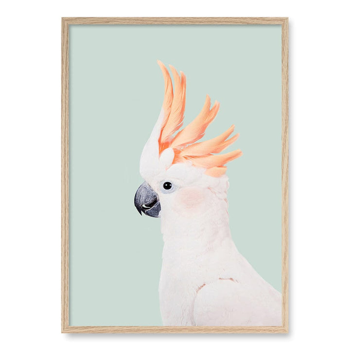 Cockatoo on Mint Wall Art Print A1 (59.4 x 84.1cm) / Natural Oak Frame / No Border from our Australian Made Framed Wall Art, Prints & Posters collection by Profile Products (Australia) Pty Ltd