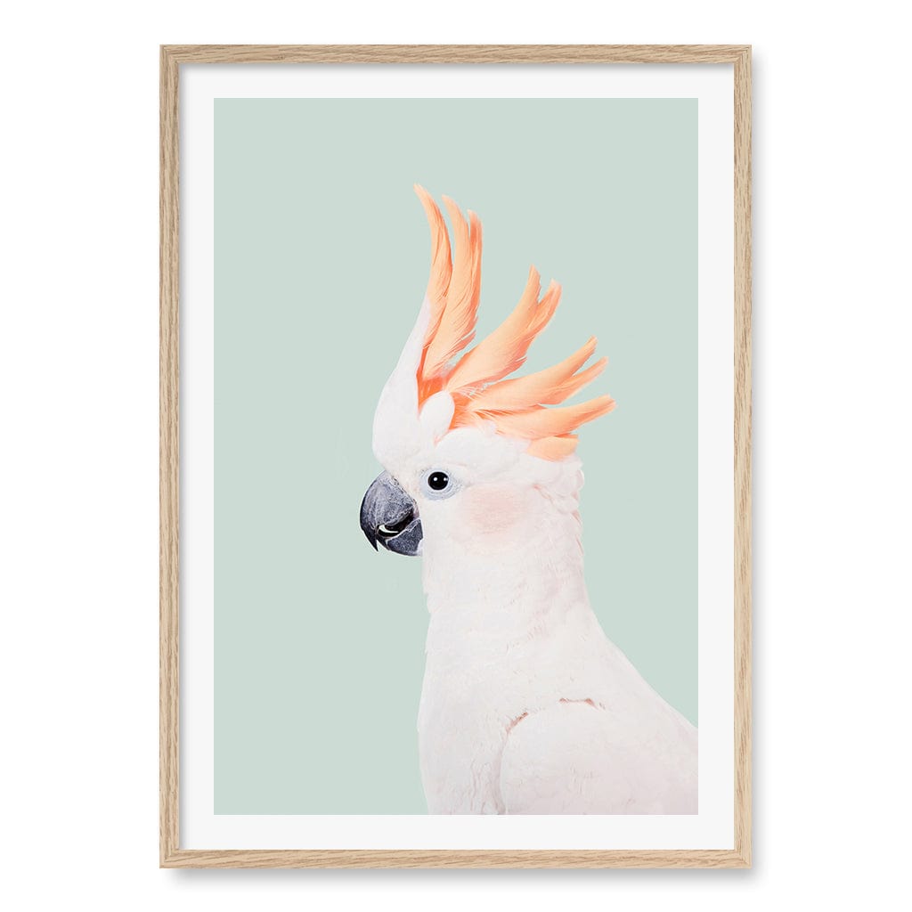 Cockatoo on Mint Wall Art Print A1 (59.4 x 84.1cm) / Natural Oak Frame / White Border from our Australian Made Framed Wall Art, Prints & Posters collection by Profile Products (Australia) Pty Ltd