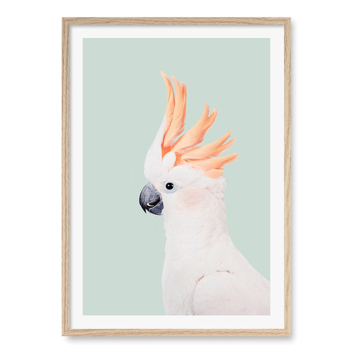 Cockatoo on Mint Wall Art Print A1 (59.4 x 84.1cm) / Natural Oak Frame / White Border from our Australian Made Framed Wall Art, Prints & Posters collection by Profile Products (Australia) Pty Ltd