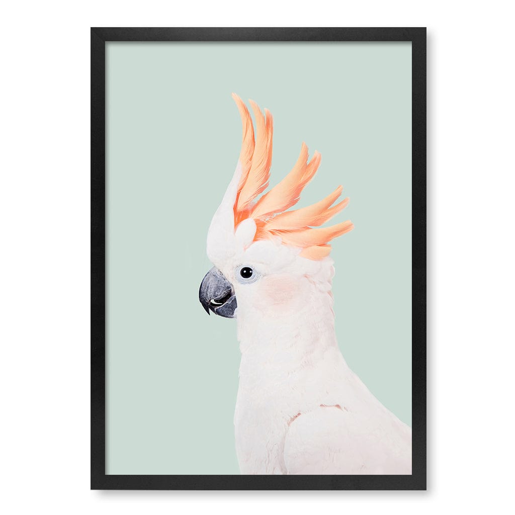 Cockatoo on Mint Wall Art Print A2 (42 x 59.4cm) / Matte Black Frame / No Border from our Australian Made Framed Wall Art, Prints & Posters collection by Profile Products (Australia) Pty Ltd
