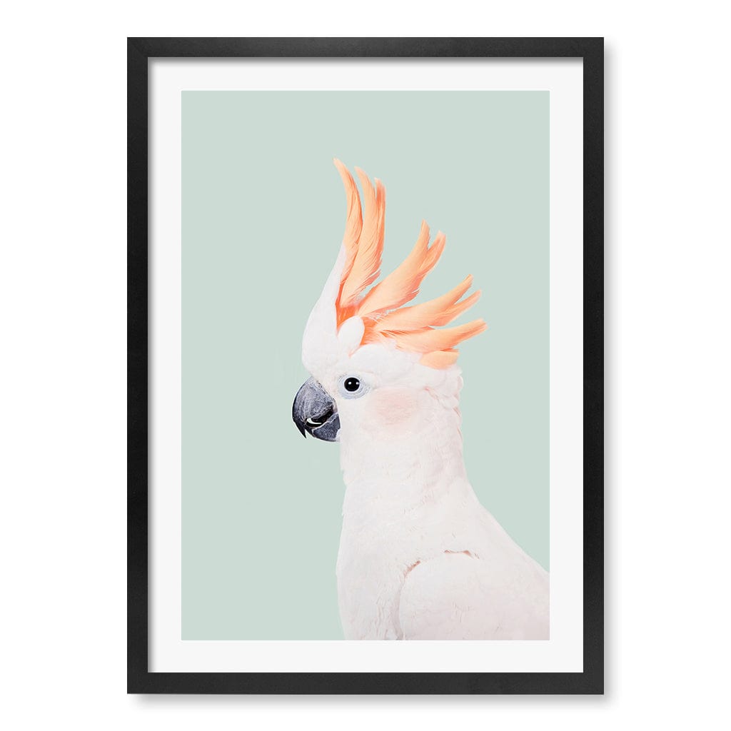 Cockatoo on Mint Wall Art Print A2 (42 x 59.4cm) / Matte Black Frame / White Border from our Australian Made Framed Wall Art, Prints & Posters collection by Profile Products (Australia) Pty Ltd