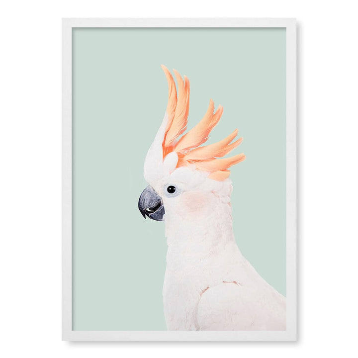 Cockatoo on Mint Wall Art Print A2 (42 x 59.4cm) / Matte White Frame / No Border from our Australian Made Framed Wall Art, Prints & Posters collection by Profile Products (Australia) Pty Ltd