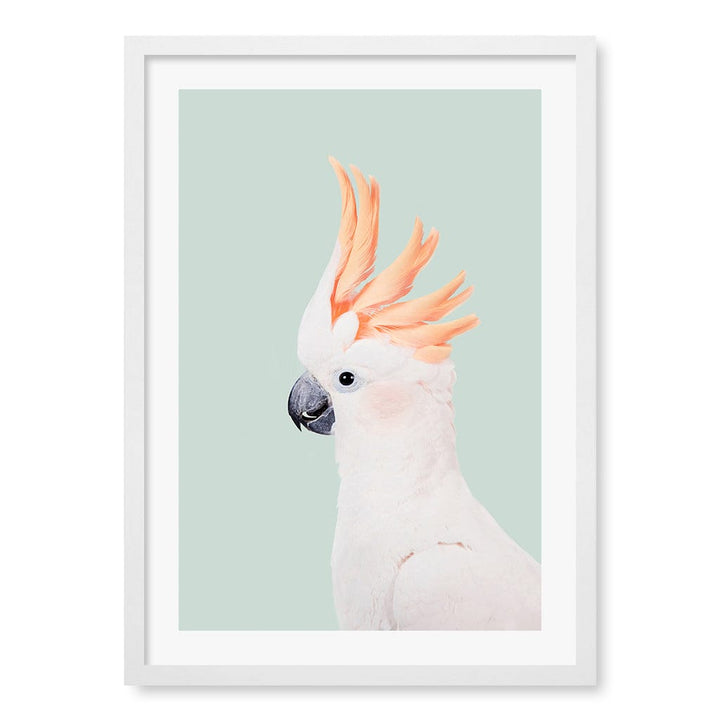 Cockatoo on Mint Wall Art Print A2 (42 x 59.4cm) / Matte White Frame / White Border from our Australian Made Framed Wall Art, Prints & Posters collection by Profile Products (Australia) Pty Ltd