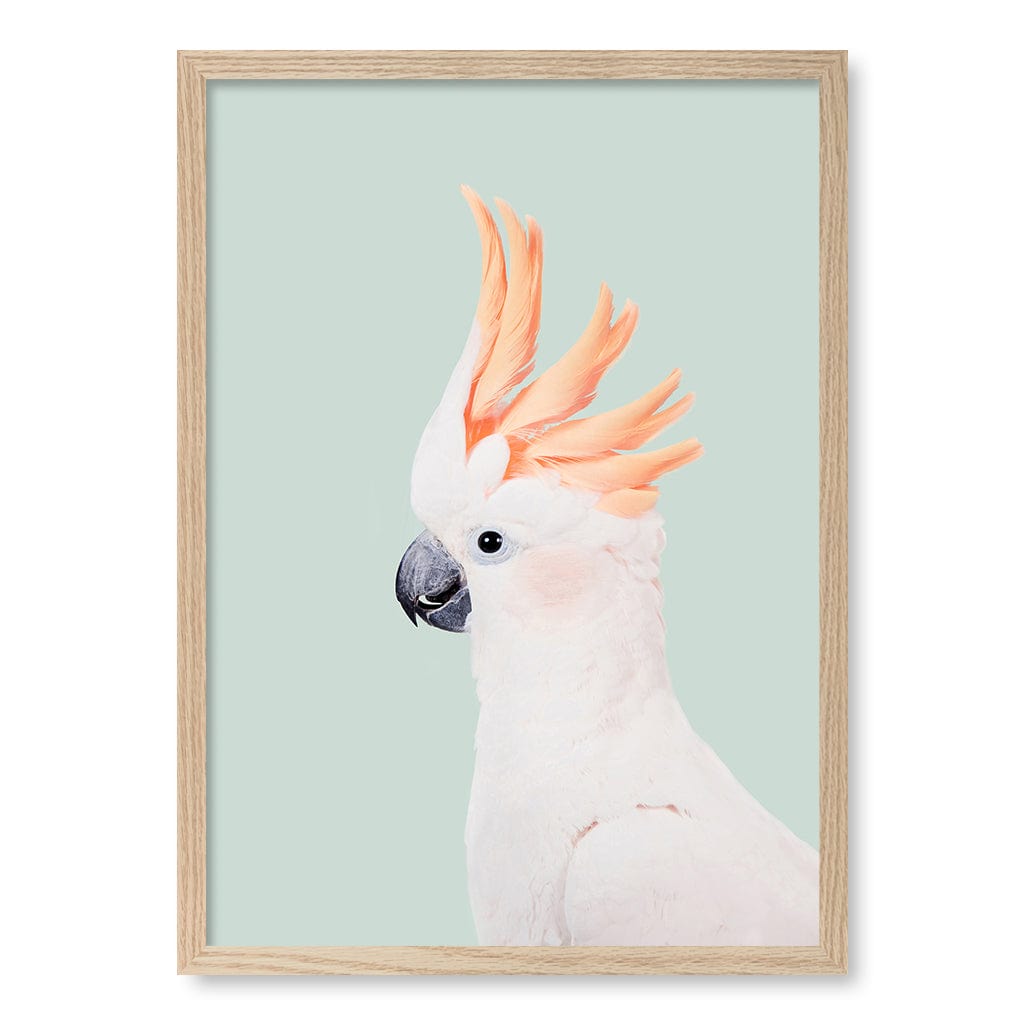 Cockatoo on Mint Wall Art Print A2 (42 x 59.4cm) / Natural Oak Frame / No Border from our Australian Made Framed Wall Art, Prints & Posters collection by Profile Products (Australia) Pty Ltd