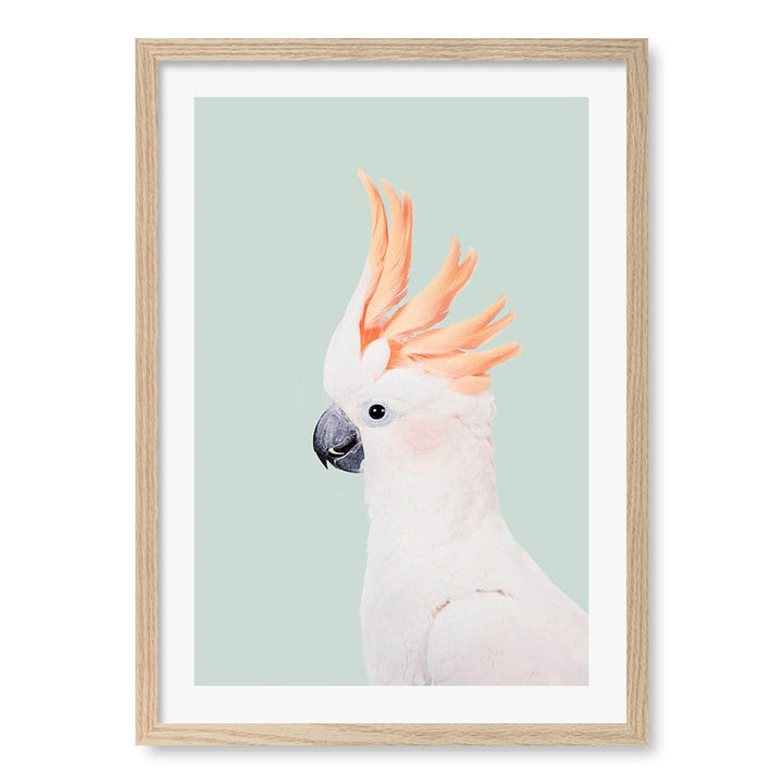 Cockatoo on Mint Wall Art Print A2 (42 x 59.4cm) / Natural Oak Frame / White Border from our Australian Made Framed Wall Art, Prints & Posters collection by Profile Products (Australia) Pty Ltd