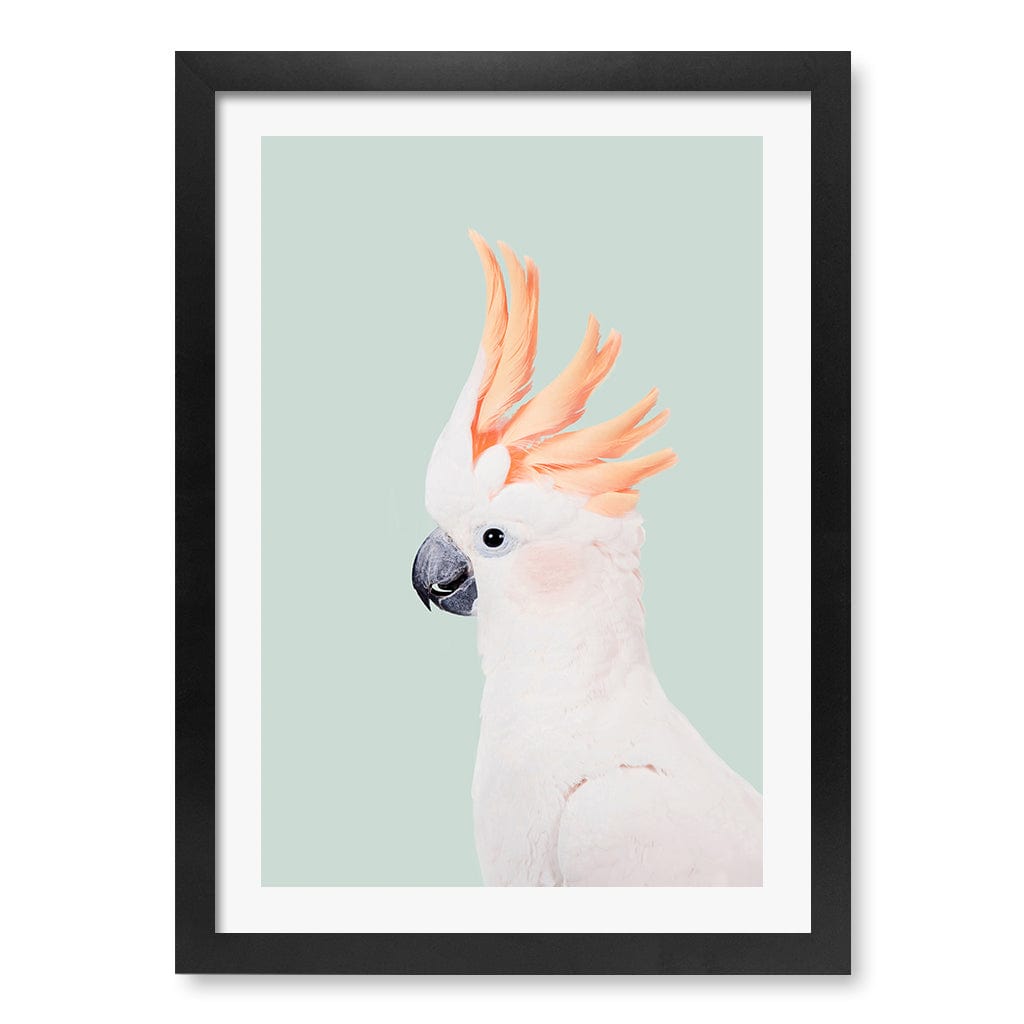 Cockatoo on Mint Wall Art Print A3 (29.7 x 42cm) / Matte Black Frame / White Border from our Australian Made Framed Wall Art, Prints & Posters collection by Profile Products (Australia) Pty Ltd