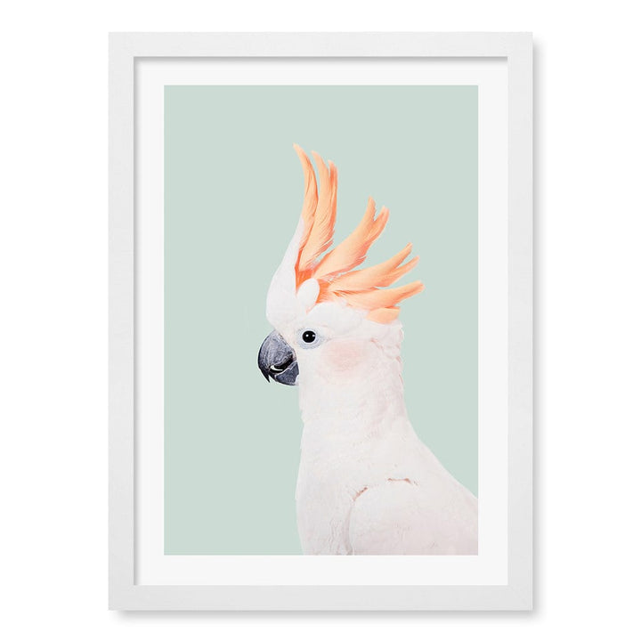 Cockatoo on Mint Wall Art Print A3 (29.7 x 42cm) / Matte White Frame / White Border from our Australian Made Framed Wall Art, Prints & Posters collection by Profile Products (Australia) Pty Ltd