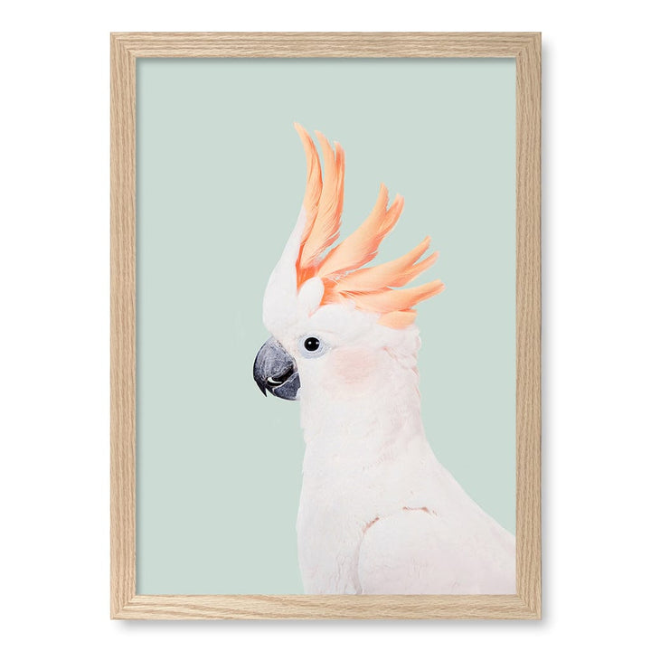 Cockatoo on Mint Wall Art Print A3 (29.7 x 42cm) / Natural Oak Frame / No Border from our Australian Made Framed Wall Art, Prints & Posters collection by Profile Products (Australia) Pty Ltd