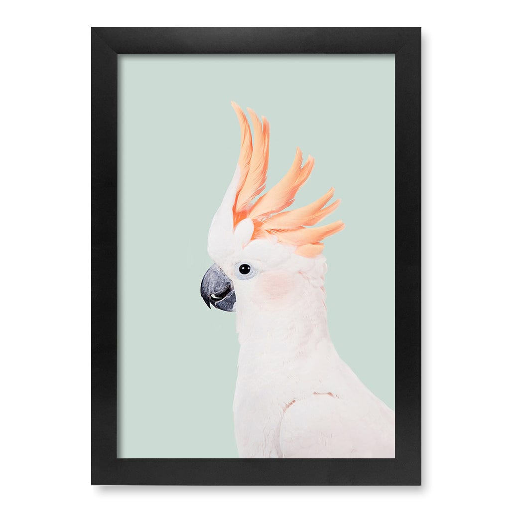 Cockatoo on Mint Wall Art Print A4 (21 x 29.7cm) / Matte Black Frame / No Border from our Australian Made Framed Wall Art, Prints & Posters collection by Profile Products (Australia) Pty Ltd