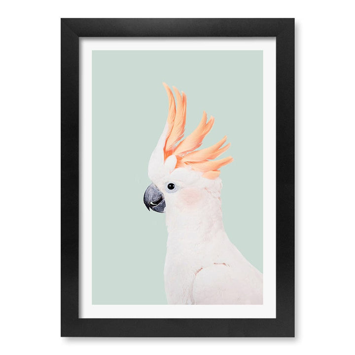 Cockatoo on Mint Wall Art Print A4 (21 x 29.7cm) / Matte Black Frame / White Border from our Australian Made Framed Wall Art, Prints & Posters collection by Profile Products (Australia) Pty Ltd