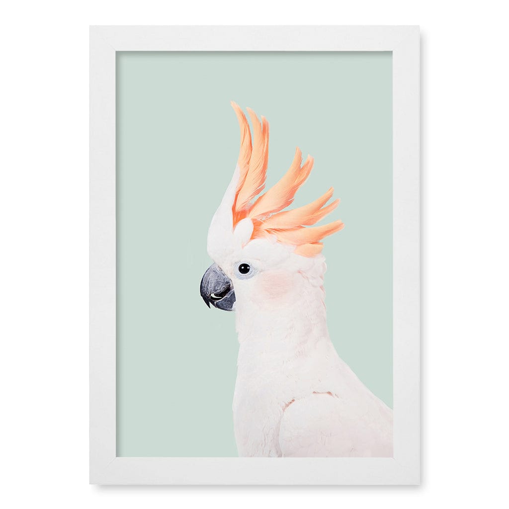Cockatoo on Mint Wall Art Print A4 (21 x 29.7cm) / Matte White Frame / No Border from our Australian Made Framed Wall Art, Prints & Posters collection by Profile Products (Australia) Pty Ltd