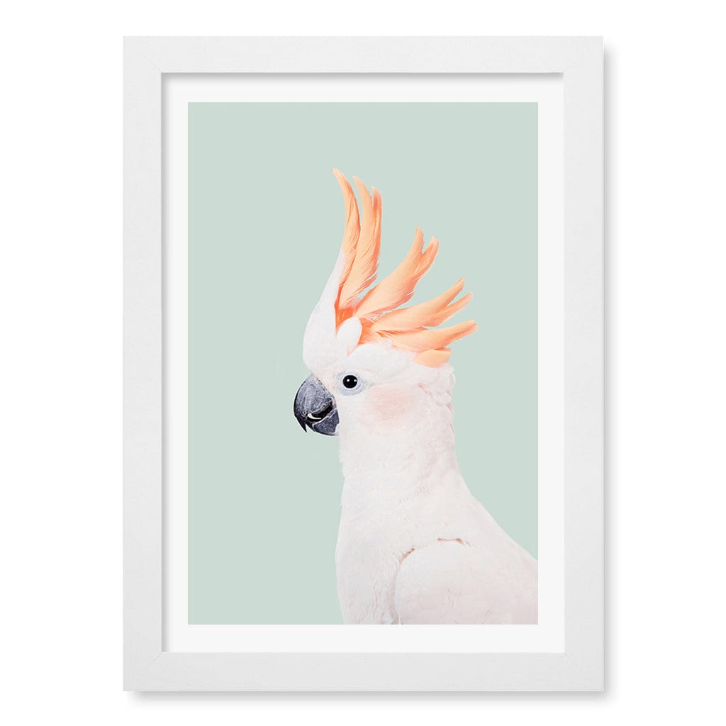 Cockatoo on Mint Wall Art Print A4 (21 x 29.7cm) / Matte White Frame / White Border from our Australian Made Framed Wall Art, Prints & Posters collection by Profile Products (Australia) Pty Ltd