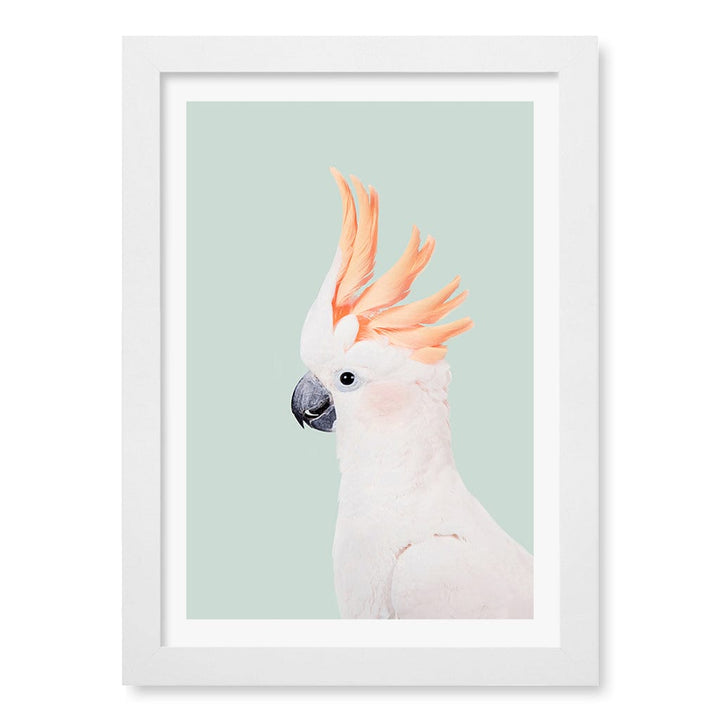 Cockatoo on Mint Wall Art Print A4 (21 x 29.7cm) / Matte White Frame / White Border from our Australian Made Framed Wall Art, Prints & Posters collection by Profile Products (Australia) Pty Ltd
