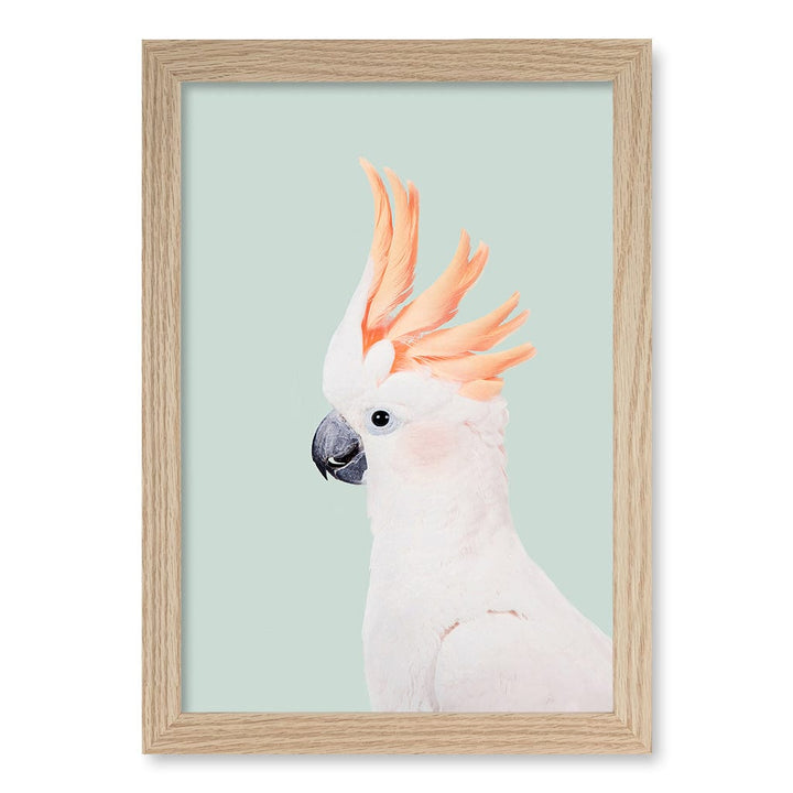 Cockatoo on Mint Wall Art Print A4 (21 x 29.7cm) / Natural Oak Frame / No Border from our Australian Made Framed Wall Art, Prints & Posters collection by Profile Products (Australia) Pty Ltd