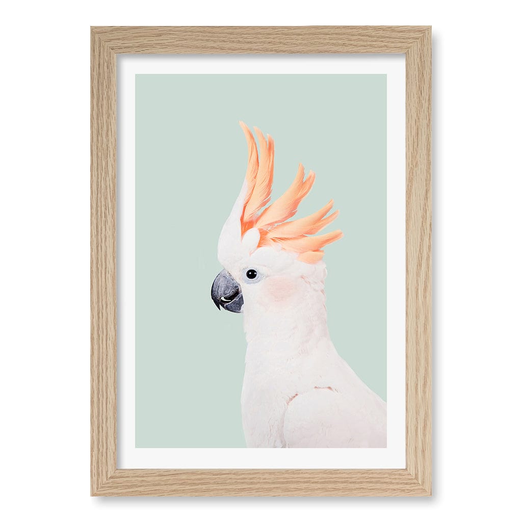 Cockatoo on Mint Wall Art Print A4 (21 x 29.7cm) / Natural Oak Frame / White Border from our Australian Made Framed Wall Art, Prints & Posters collection by Profile Products (Australia) Pty Ltd