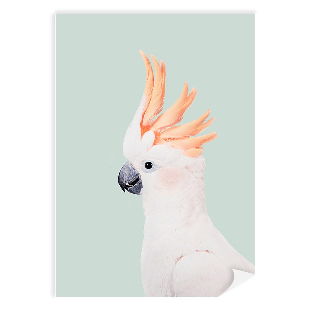 Cockatoo on Mint Wall Art Print A4 (21 x 29.7cm) / Print Only / No Border from our Australian Made Framed Wall Art, Prints & Posters collection by Profile Products (Australia) Pty Ltd